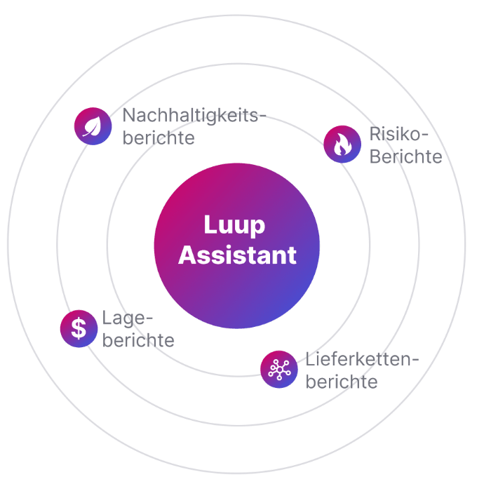 Explanation Luup Assistant